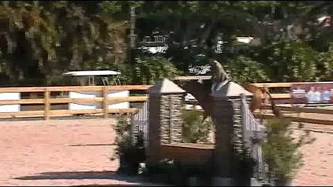 Video of ALL IN TIME riden by PENNY LOMBARDO from ...