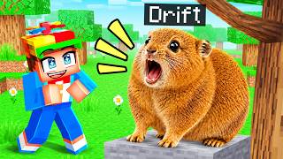 Becoming a PIKA in Minecraft!