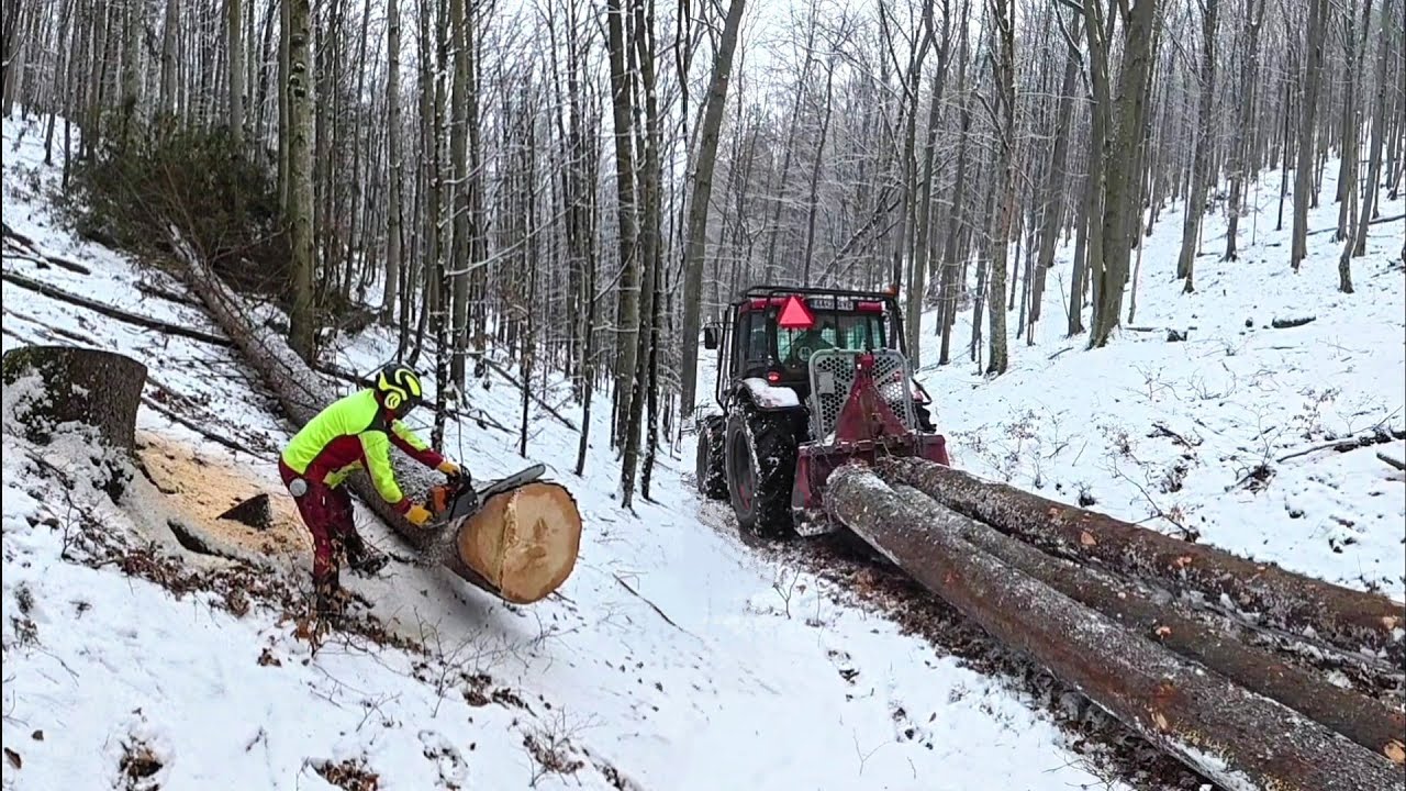 Вырубка над ручьем на крутом склоне, снег ухудшил наши условия, Амлес, Штиль 500i