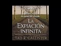 Capítulo 9 - Infinita en la divinidad del elegido