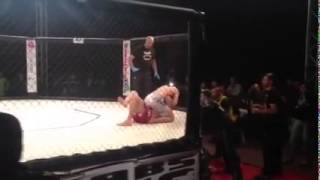 Phoenix Mma Finale 2014 Superfight Card