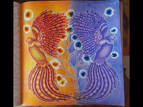 Милли Маротта Первозданная красота (раскраска антистресс) (29)