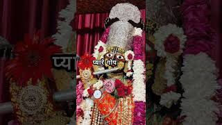 Mero man lagyo shree Vrindavan dham | Krishna status#shorts #bhakti #vrindavan #krishnalove #radha