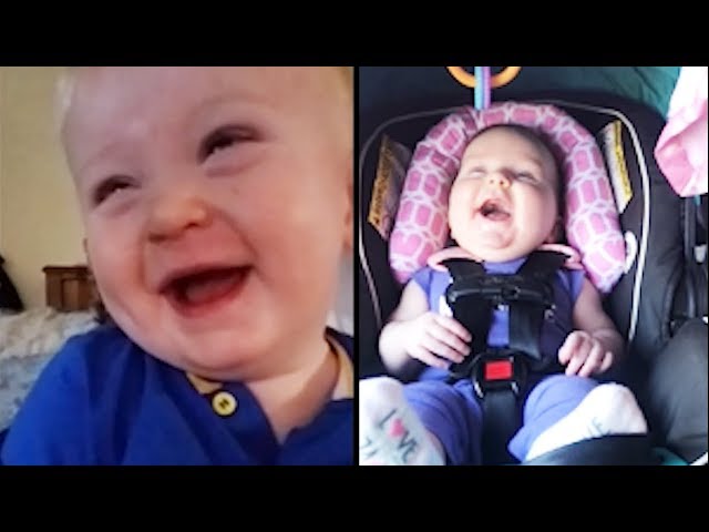 10 Minutes De Bebe Qui Rit Essayez De Ne Pas Rire Ni Sourire Youtube