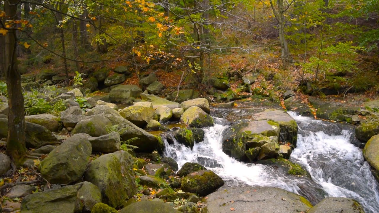 Calming Water Sounds 🌊 Natural Flowing Water for Deep Sleep & Relaxation