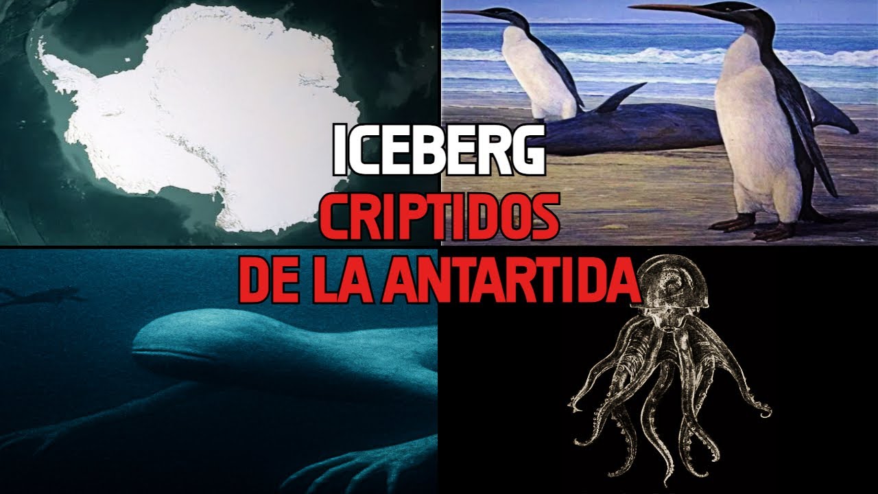 El iceberg de los críptidos y criaturas extrañas de la Antártida🧊| Explicado