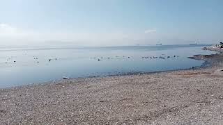 Bengü Kocaman Öpüyorum Nakarat