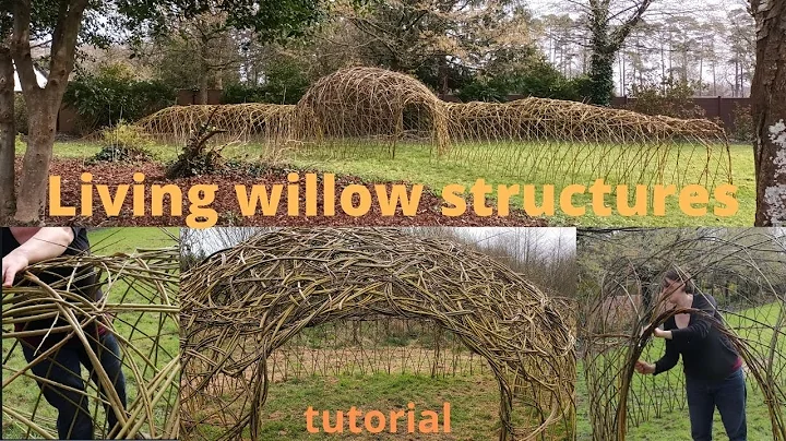 Living willow structures tutorial, a how-to video on weaving with living willow.