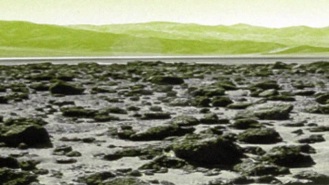 "Young Girl" by Paul Watkins and Brooks Poston