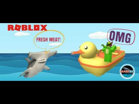 I Bought The Hammerhead Shark Roblox Sharkbite Beta Youtube - hammer head baech beta tester roblox