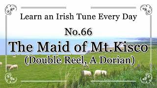 066 The Maid Of Mt Kisco Double Reel, A Dorian Learn An Irish Tune Everyday.