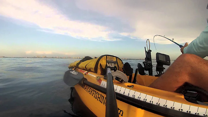 Offshore Kayak Fishing, KINGFISH, Mahi, Cuda, Shark and Tuna