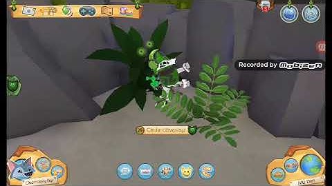 Intro contest! (Read description)