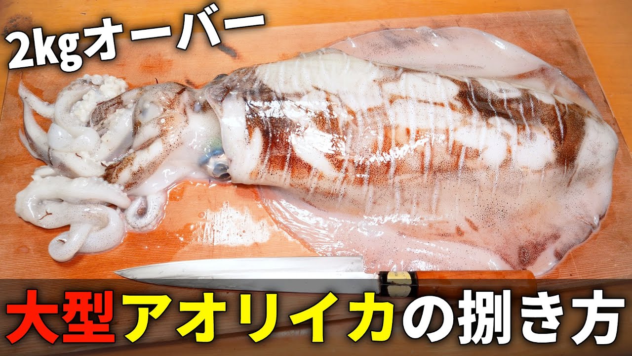 大きいイカを食べる時は絶対にやってほしい、簡単にできる大型アオリイカのさばき方。