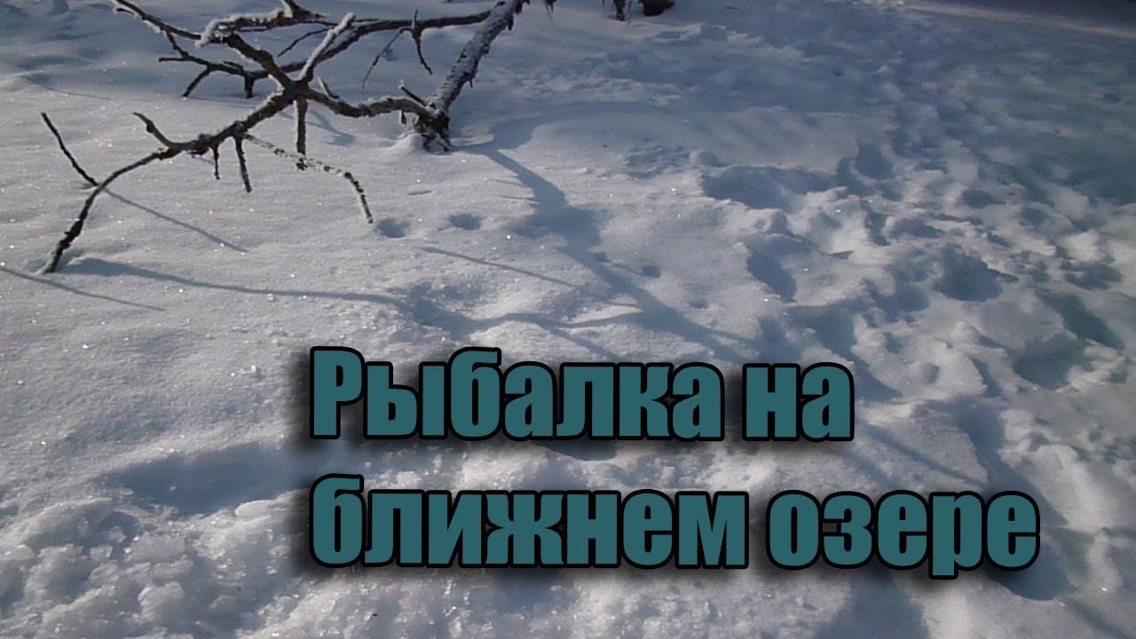 Рыбалка на ближнем озере - YouTube