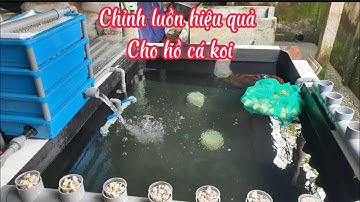 Tầm Quan Trọng Của Luồn Trong Hồ Cá Koi - Điều Chỉnh Luồn Sao Cho Hiệu Quả - Nhân Vlog 1989