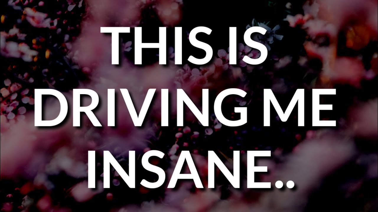 This is driving me insane 😂😂🦜💓 - YouTube