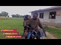Pombe Sio Chai 