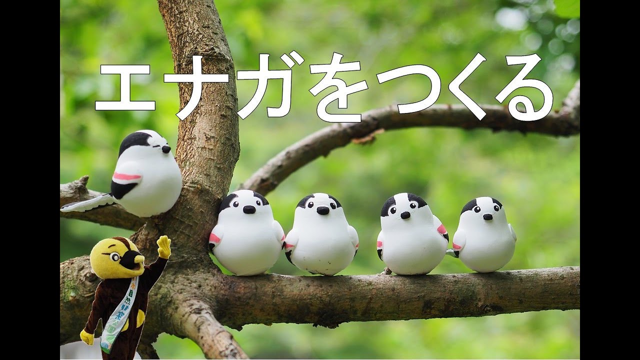 5 23 お家でも自然学習 粘土でエナガをつくる Youtube
