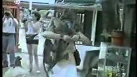 Funny Animals [from www.metacafe.com]