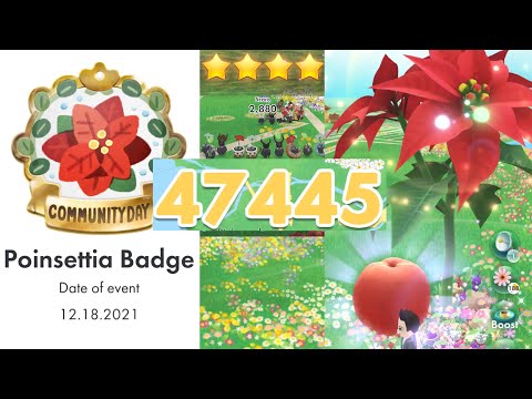 Video Pikmin Bloom Community Day Poinsettia Badge - youtube