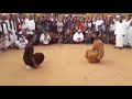 رقص جميل علي انغام وتر الطمبور