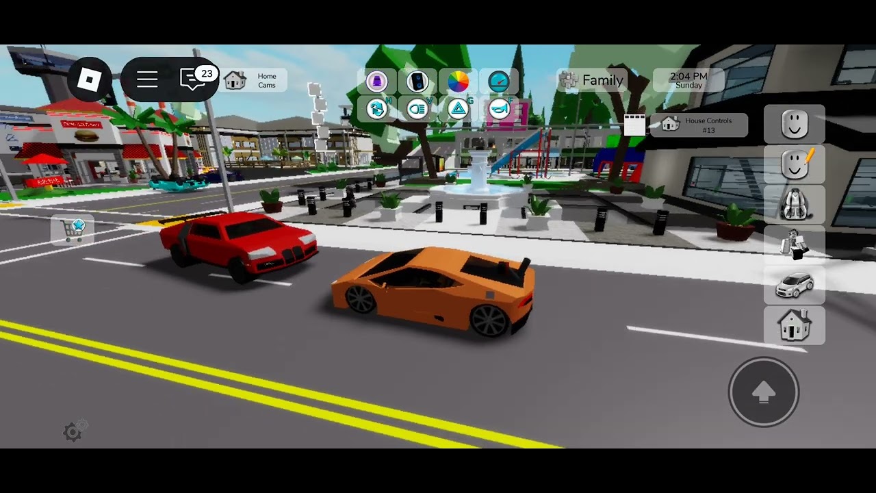 Hi today I played brookhaven and it was crazy