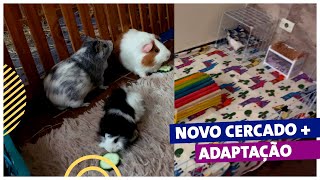 ADAPTAÇÃO E NOVO CERCADO DOS PORQUINHOS DA ÍNDIA