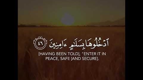 { إِنَّ الْمُتَّقِينَ فِي جَنَّاتٍ وَعُيُونٍ } سورة الحجر القارئ/ أحمد النفيس 🌿🤍