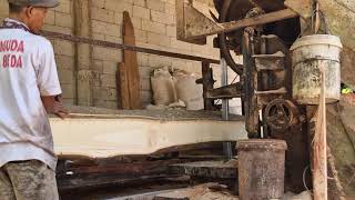 From Massive Forest Logs to Luxury Planks: The Sawmill in Action