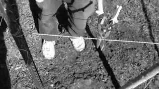 How To Stake A Tree - Monumental Outdoor