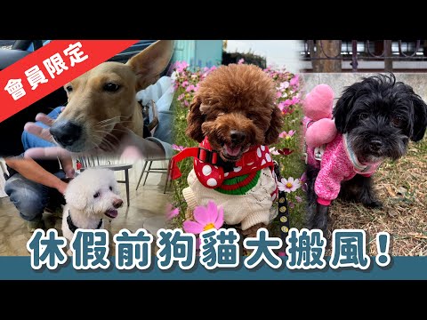 [Member Exclusive] The children the channel is rescuing have been blown away by the wind! | Chann...