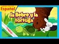 la liebre y la tortuga - historias español || cuentos cortos