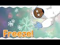 Winter Run Adventure Quiz