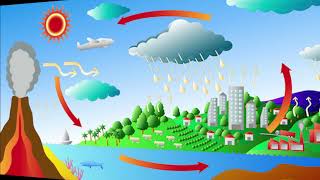 Ciclos biogeoquímicos y su importancia Ciclos biogeoquímicos y su importancia