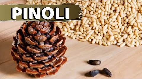 O que é o que é pinoli?