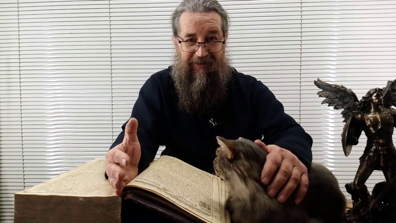 Имя не бывает случайным (на примере Варвары)