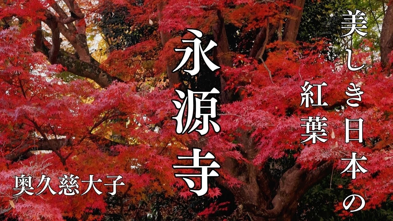 奥久慈大子もみじ寺　永源寺の美しい紅葉