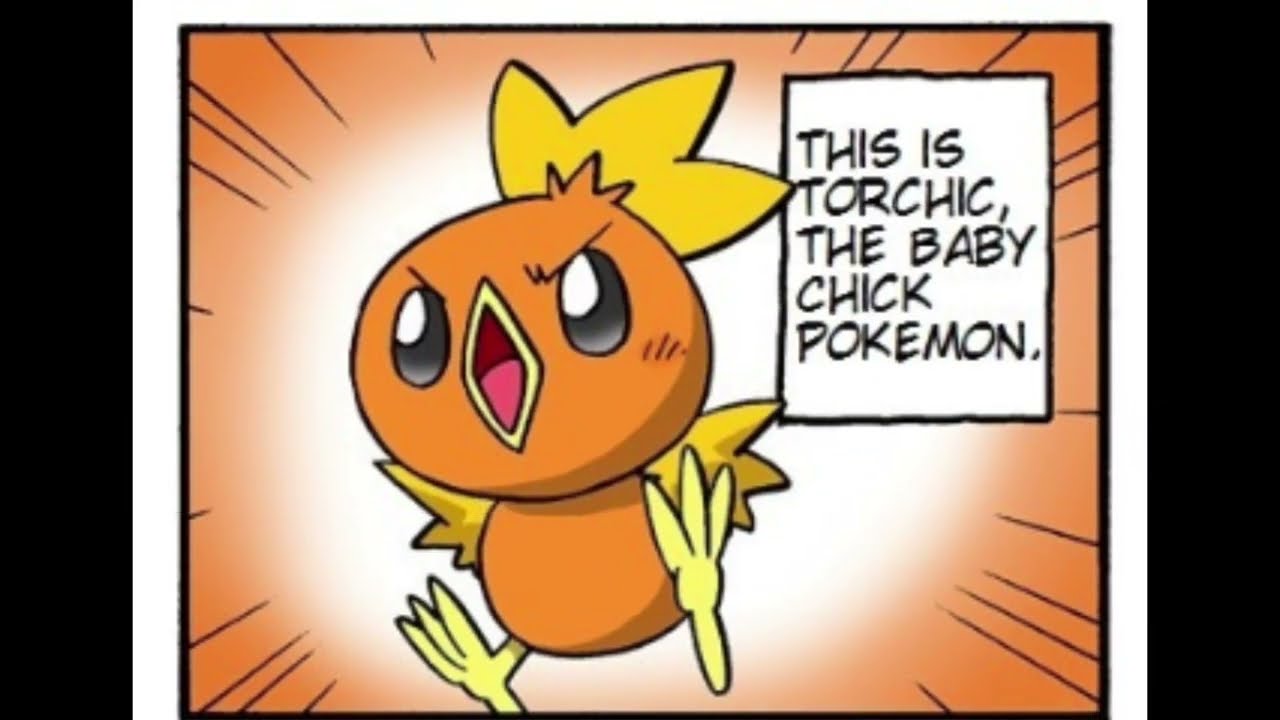 Warm Torchic / Warm Achamo (求力术力 7千t毛) - Comic Dub (4Koma Manga Kingdom)