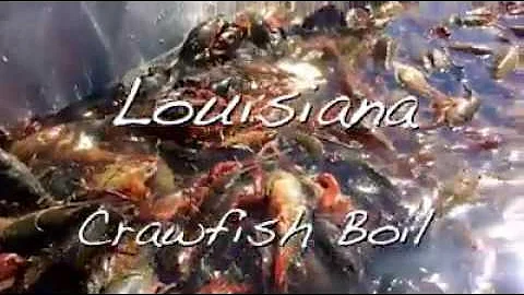 Louisiana Seafood Boil