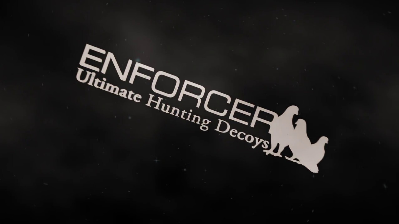 Enforcer Flying Pigeon Decoys on Standing Wheat DJ YouTube