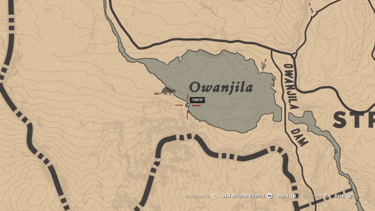 Beaver Locations In Rdr2 RDR2 Online - Beaver locations for Daily Challenge - YouTube