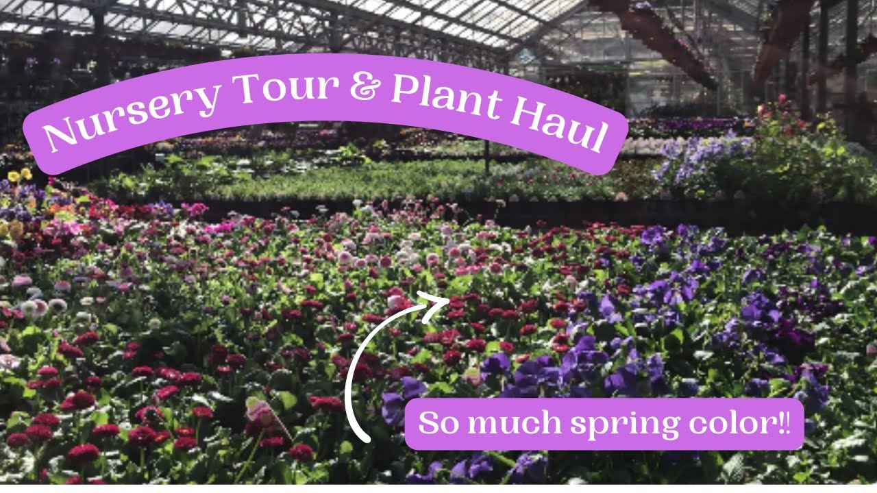 Local Nursery Tour of The Garden Barn in Vernon CT & 1st plant haul of