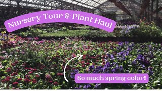 Local Nursery Tour of The Garden Barn in Vernon CT & 1st plant haul of the season!