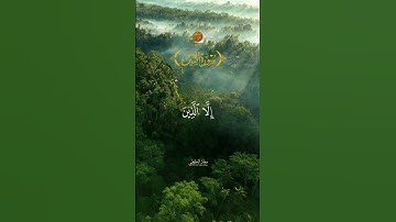 Muadh El Kholti - Extrait Surat At Tin - ماتيسر من سورة التين | معاذ الخلطي | برواية ورش #quran
