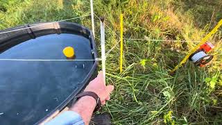Greg explains why he loves having some Eastern Gama Grass on their farms, 18' plant roots!