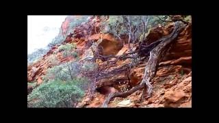 Australian Wilderness Adventures: Episode 011 - Watarrka National Park