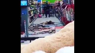 VID 20160922 WA0000