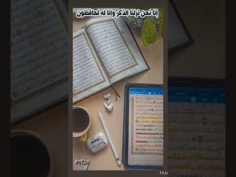 احنا الصح احنا الي علي حق