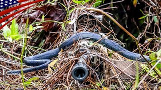 Us Army's Top-Notch Snipers Learn Maximum Concealment In Ghillie Suit